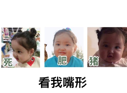 12月1日热门斗图表情包合集