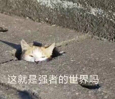 4月27日斗图表情包原图合集来啦