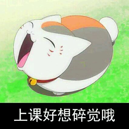 猫咪老师搞笑动图表情包合集