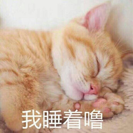 4月8日斗图表情包原图合集