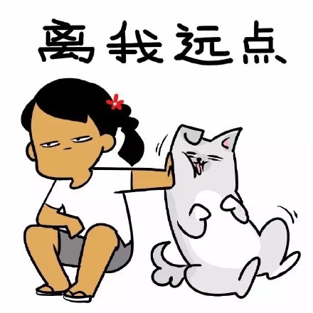 聊天斗图必备！制冷少女表情包合集来啦