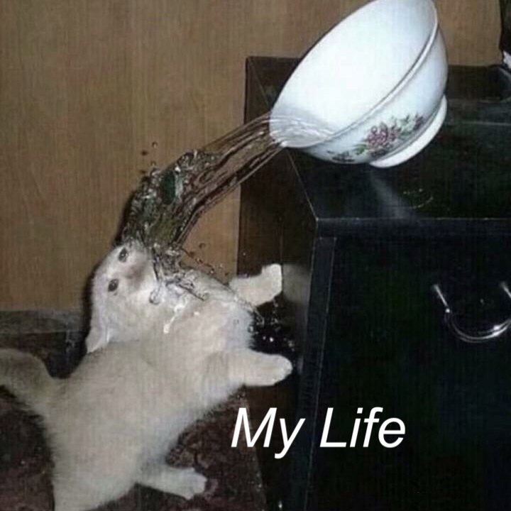 8月25日斗图表情包合集更新啦