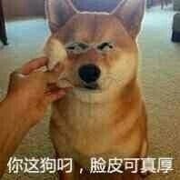 聊天斗图不用愁！这份精选表情包合集直接抄作业