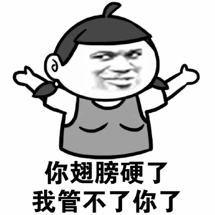 这句“翅膀硬了管不了”的表情包，斗图党都在用
