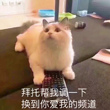 1月27日热门表情包原图合集来了