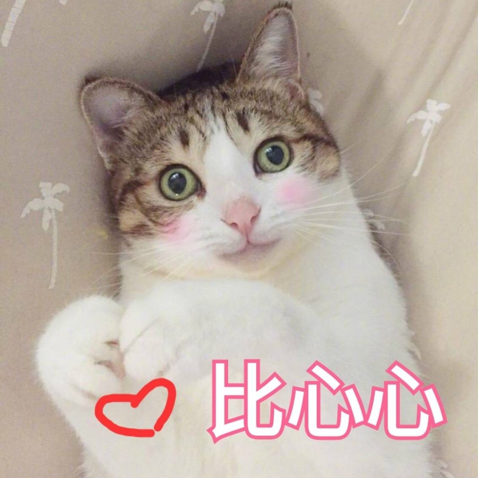 整理一波好用的斗图杂图表情包