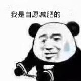 熊猫戴手铐表情包：我自愿的！