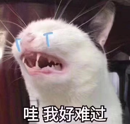 11月15日热门斗图表情包合集来了