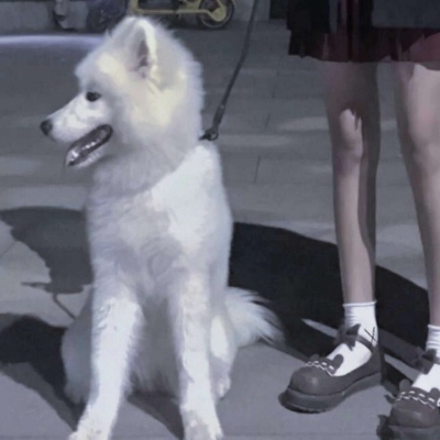 不露脸双人情侣头像 26张高清好看的一对两张图