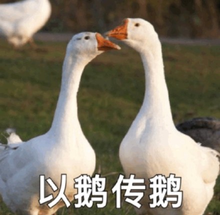 10月26日斗图表情包精选合集