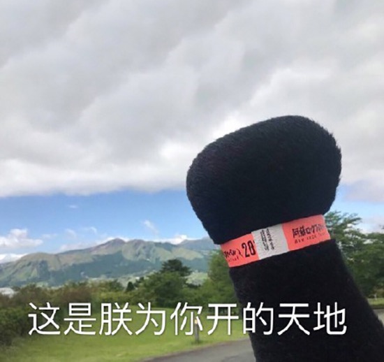 熊本熊举拳头表情包合集来啦