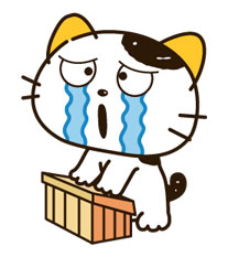 超全猫猫兔子萌萌哒动图表情包合集