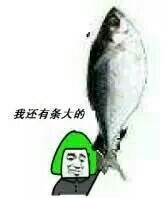 看到这条咸鱼没，劳资喊你呢，瞅见没