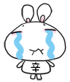 聊天斗图必备！小辛兔表情包合集来啦