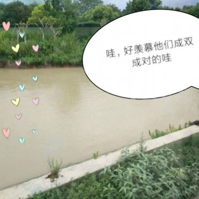 可爱动物情侣头像来啦！12张高清一左一右配对图