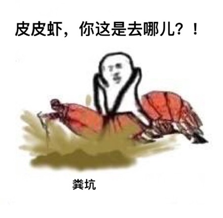 皮皮虾今天摆烂不出门啦！