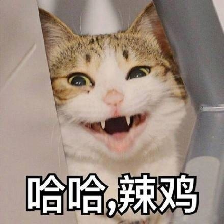 斗图表情包精选合集