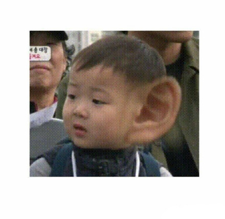 当下超火的表情包原图都在这了