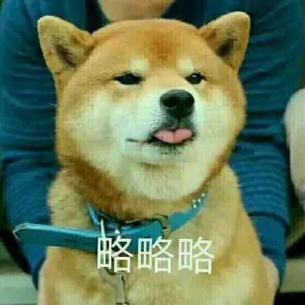 聊天斗图必备！这款略略略表情包系列太好用了