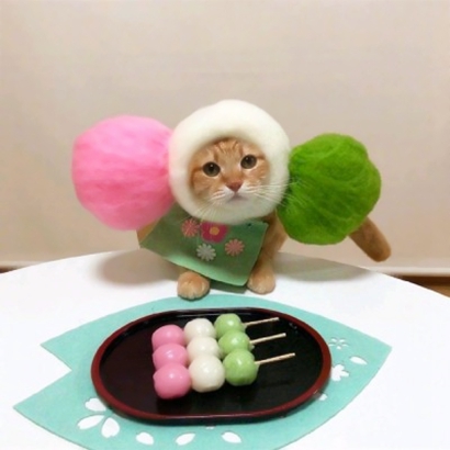 软萌猫咪情侣头像来啦！20张高清可爱的一对两张头像