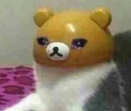 最近超火的斗图表情包合集来啦