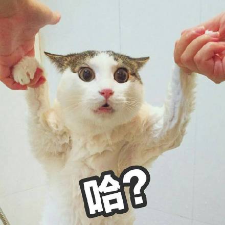 超实用斗图表情合集整理好了，速存