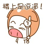 超萌帽帽猪表情包合集来啦
