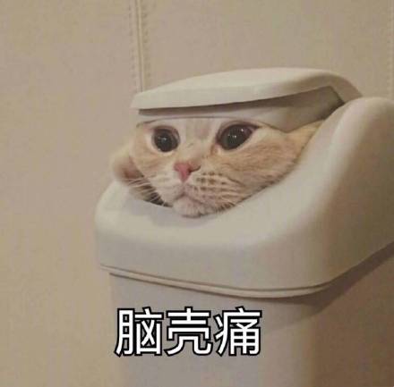 最新无水印热门表情包合集来啦