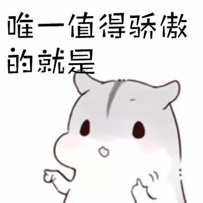 软萌仓鼠表情包合集 聊天斗图超好用