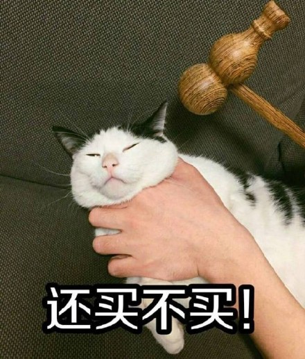 戳中撒娇党！这款“我要这个你买”猫猫表情包火了