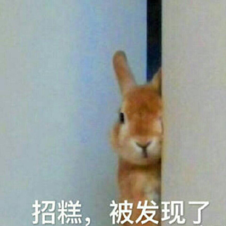 8月24日斗图表情包精选合集