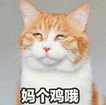 12月7日热门无水印表情包合集
