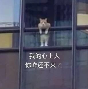 11月22日斗图表情包合集