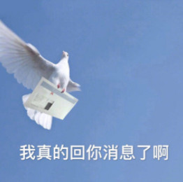 10月21日斗图表情包合集来啦