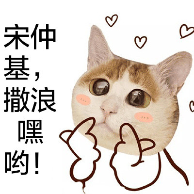 猫头宋仲基可爱表情包合集