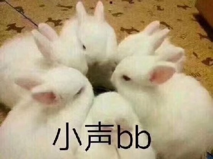 今天聊天用啥表情？这份热门表情包合集请收好
