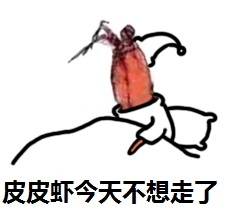 皮皮虾今天摆烂不出门啦！