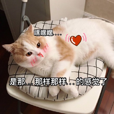 6月2日斗图表情包精选合集