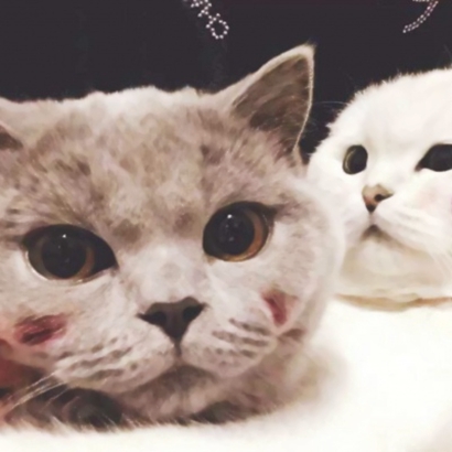 沙雕情侣头像合集 高清搞怪情头10张分享