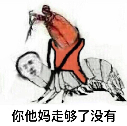 皮皮虾今天摆烂不出门啦！