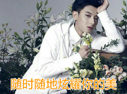 wuli韬韬表情包合集 黄子韬明星聊天表情动图