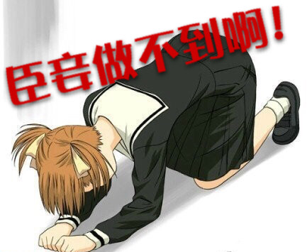 「劳资给您老人家跪了」表情包合集来啦