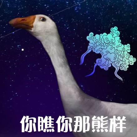 鹅鹅鹅表情包合集来啦！聊天斗图就用这个