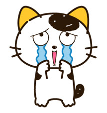 超全猫猫兔子萌萌哒动图表情包合集