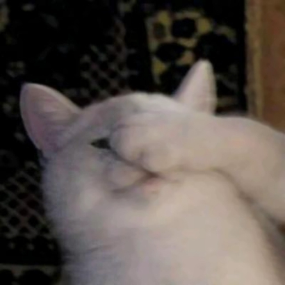 超萌猫咪情侣头像！16组一左一右高清配对图来啦