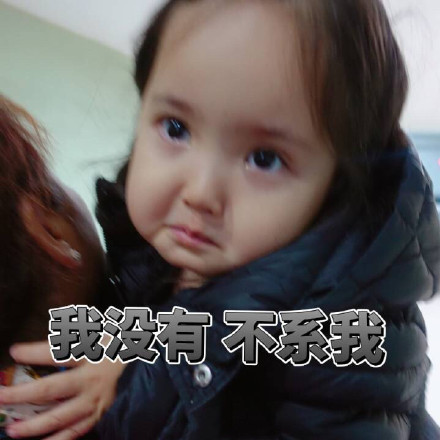 11月24日热门斗图表情包合集