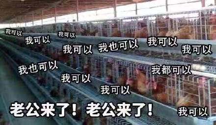 11月9日斗图表情包合集来了