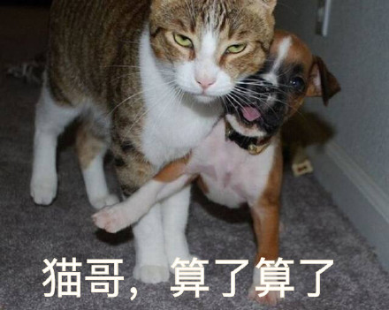 “XX哥，算了算了” 这套表情包火了
