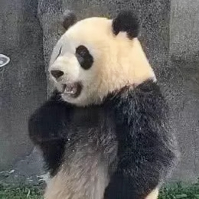 搞怪情侣头像来啦！当一回快乐沙雕逗比