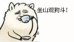 “注意素质，你这骚猪蠢猪”表情包包上线，斗图又有新素材了